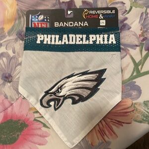 Philadelphia eagles dog collar bandana accessory